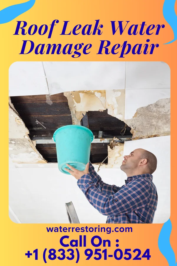 Roof Leak Water Damage Repair in Littleton, NC