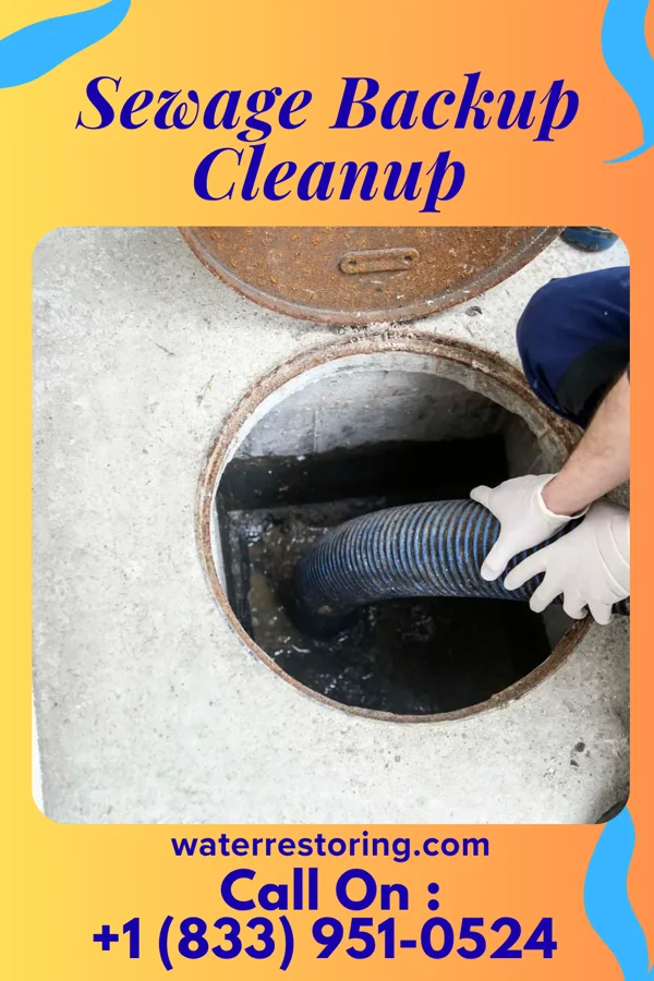 Sewage Backup Cleanup in Littleton, NC