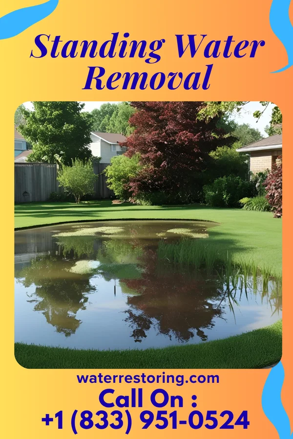 Standing Water Removal in Littleton, NC
